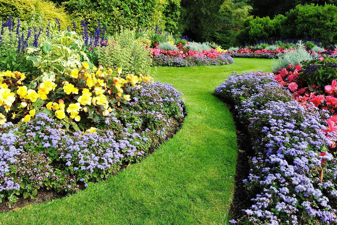 6 Tips for Water-Efficient Landscaping - bhgrelife.com