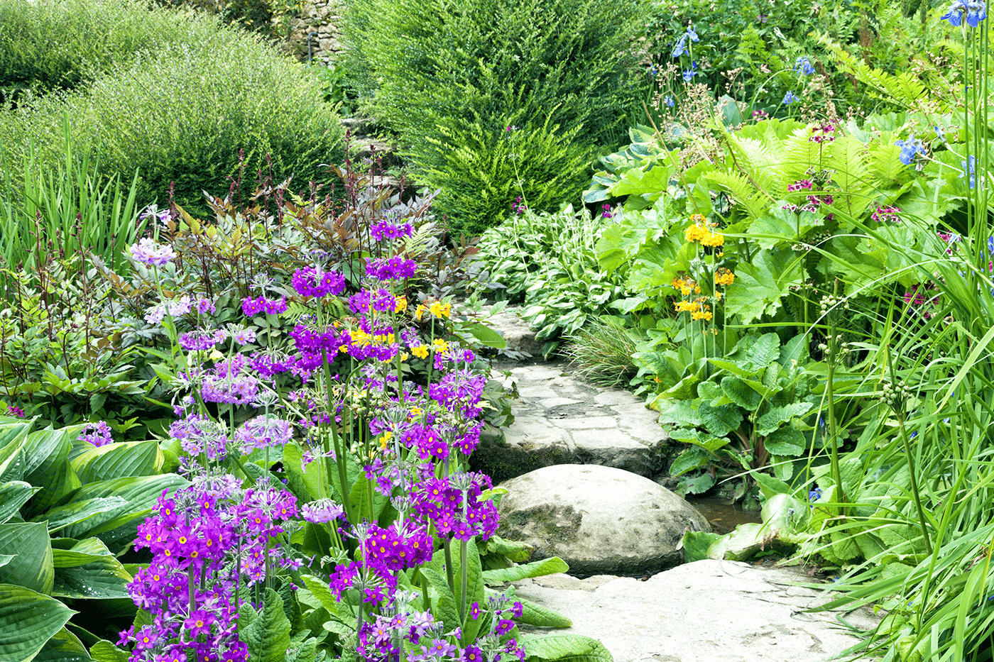 Ask a Pro Q&A: Starting an English Cottage Garden - bhgrelife.com