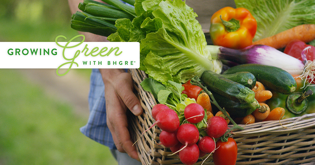Growing Green with BHGRE - Season Produce